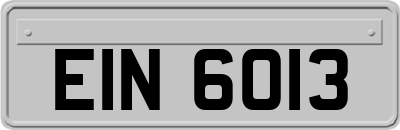 EIN6013