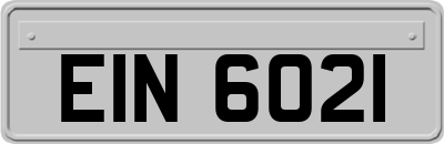 EIN6021