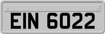 EIN6022
