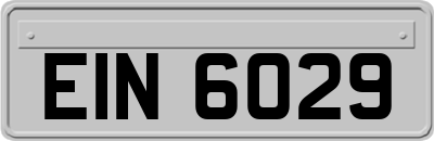 EIN6029