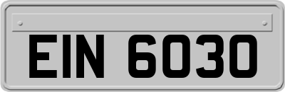 EIN6030