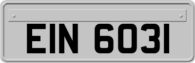 EIN6031