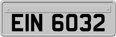 EIN6032