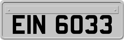 EIN6033