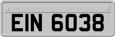 EIN6038