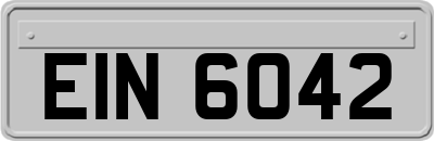 EIN6042