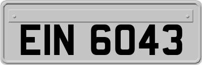 EIN6043