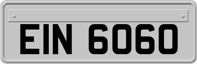 EIN6060