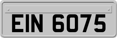 EIN6075