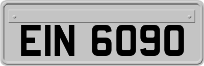 EIN6090