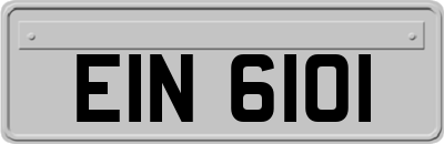 EIN6101