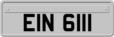 EIN6111