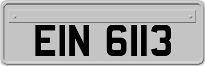 EIN6113
