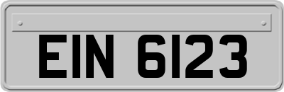 EIN6123
