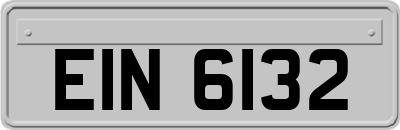 EIN6132