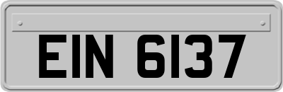 EIN6137