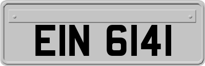 EIN6141