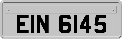 EIN6145