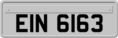 EIN6163