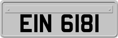 EIN6181