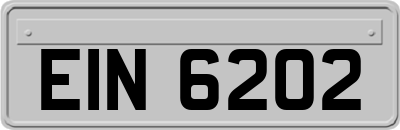EIN6202