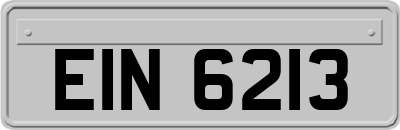EIN6213