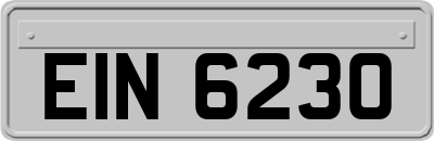 EIN6230