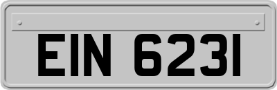 EIN6231