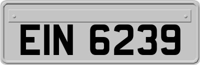 EIN6239