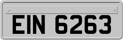 EIN6263
