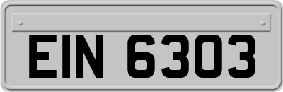 EIN6303