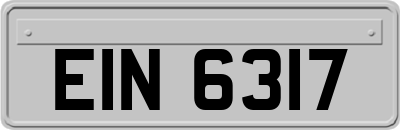 EIN6317