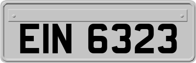 EIN6323