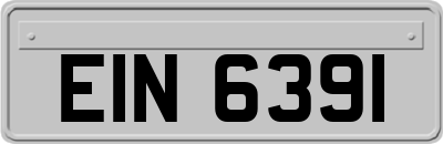 EIN6391