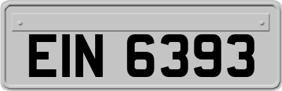 EIN6393