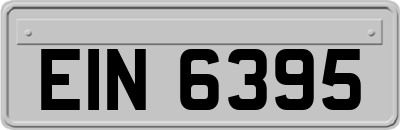 EIN6395