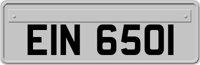 EIN6501