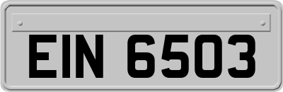 EIN6503