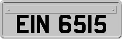 EIN6515