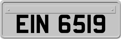 EIN6519