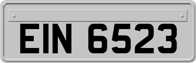 EIN6523