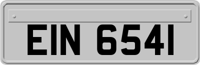 EIN6541