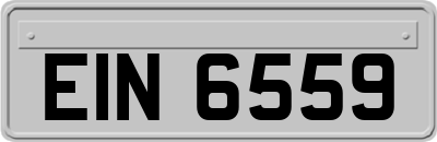 EIN6559