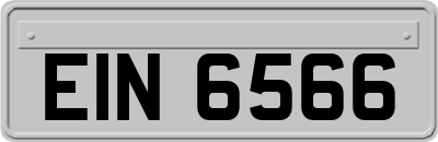 EIN6566