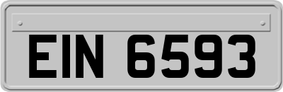 EIN6593