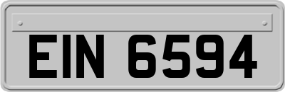 EIN6594
