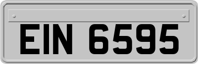 EIN6595