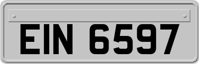 EIN6597