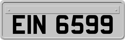 EIN6599