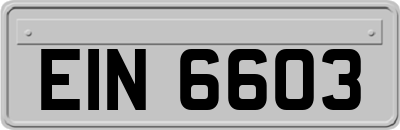 EIN6603